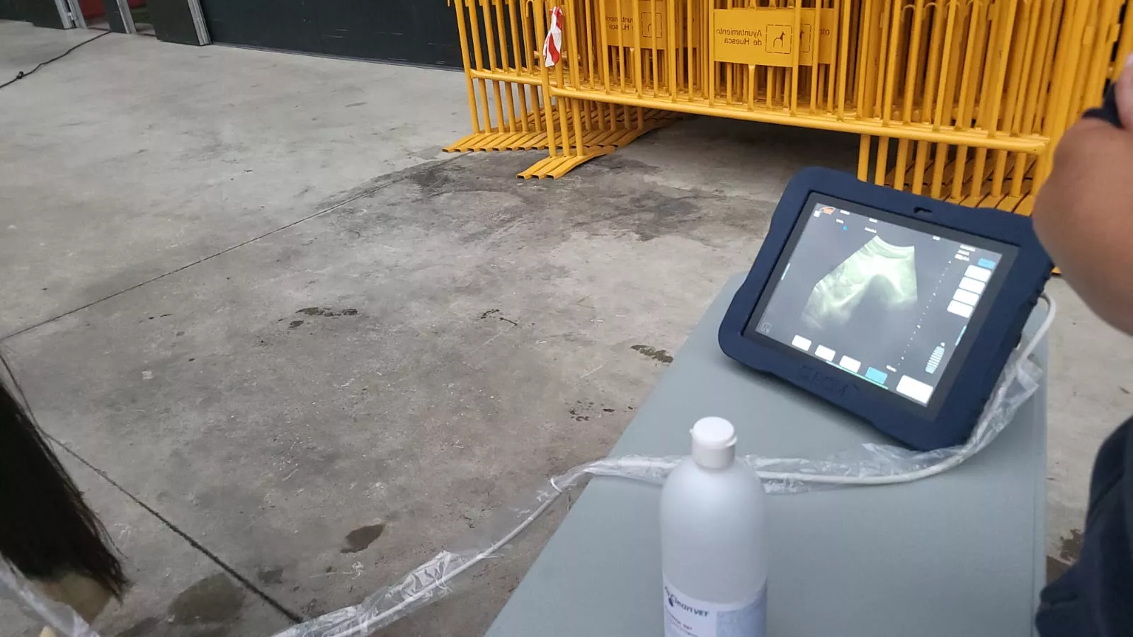 Jaque-Mate, curso de Humeco para veterinarios impartido por el doctor Jaramillo