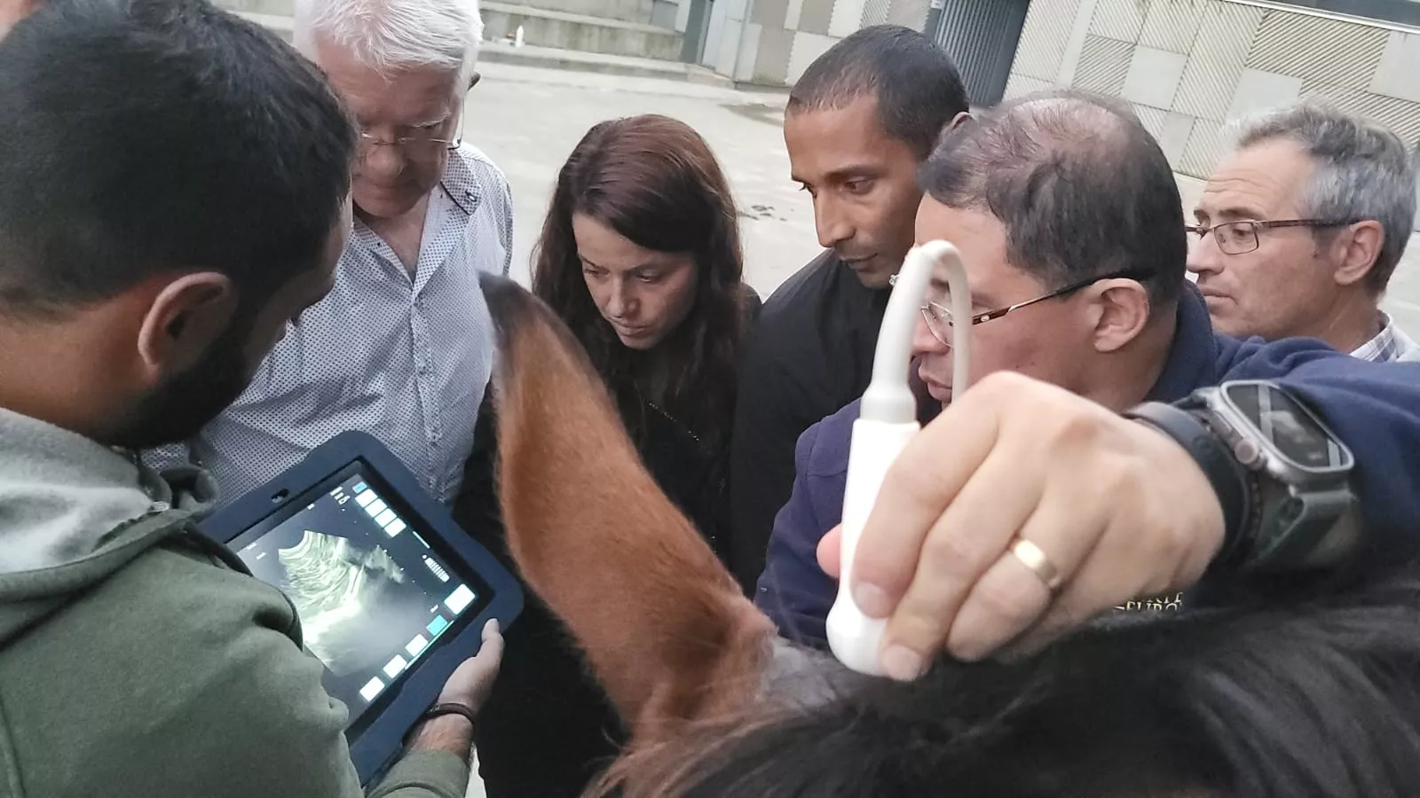 Jaque-Mate, curso de Humeco para veterinarios impartido por el doctor Jaramillo