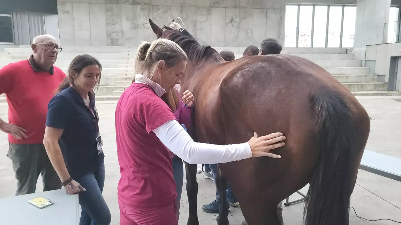 Jaque-Mate, curso de Humeco para veterinarios impartido por el doctor Jaramillo