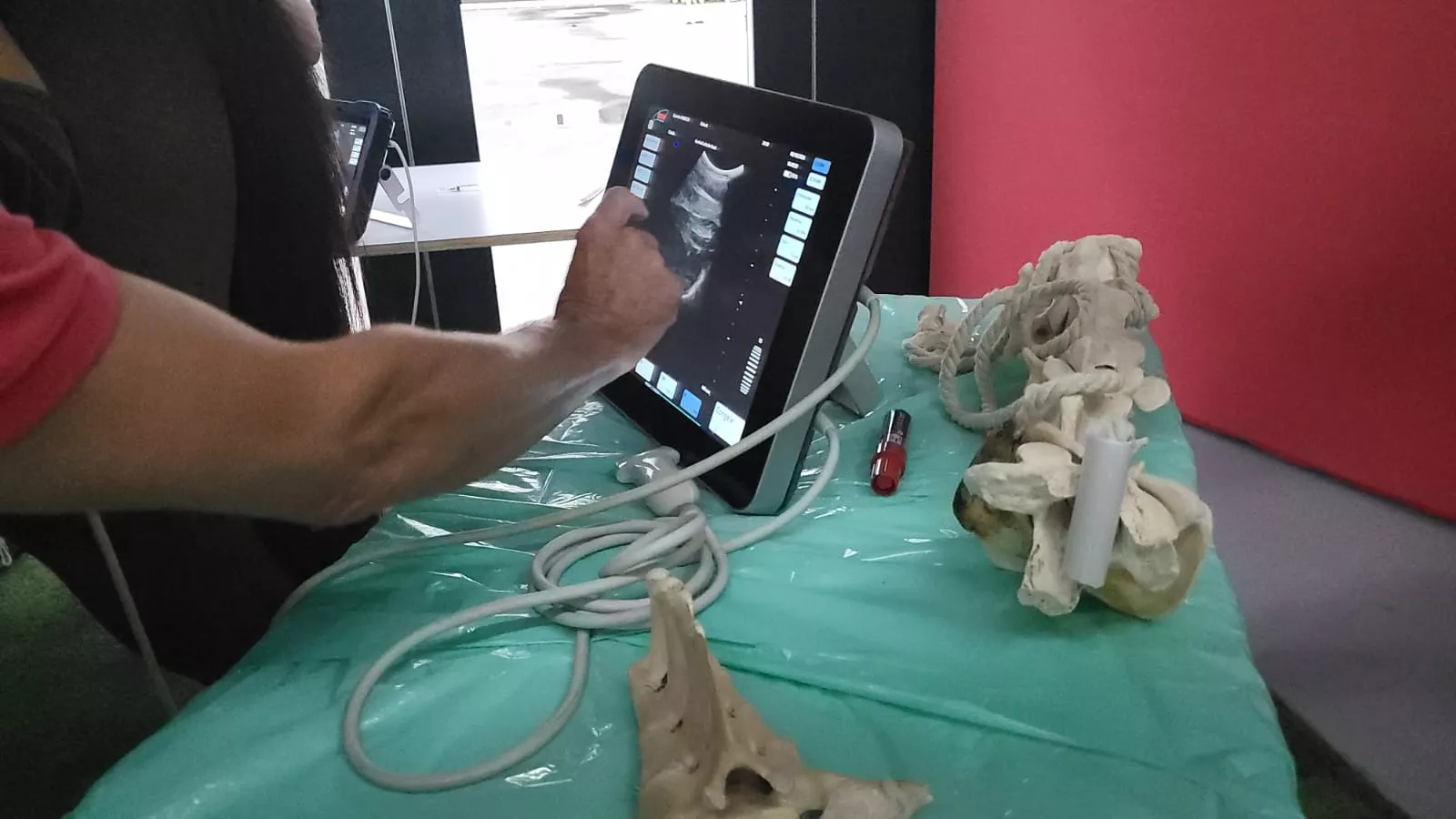 Jaque-Mate, curso de Humeco para veterinarios impartido por el doctor Jaramillo