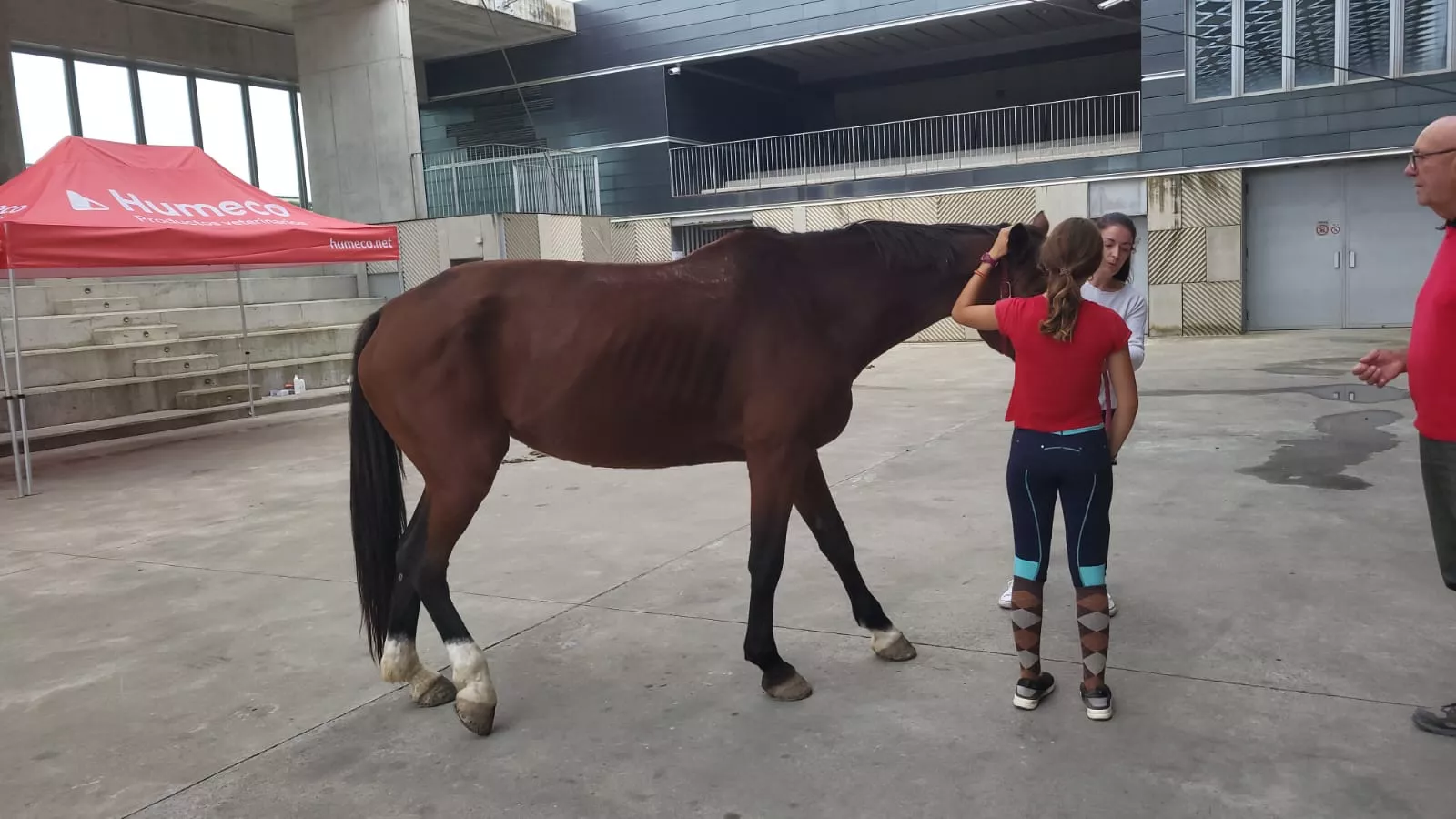 Jaque-Mate, curso de Humeco para veterinarios impartido por el doctor Jaramillo