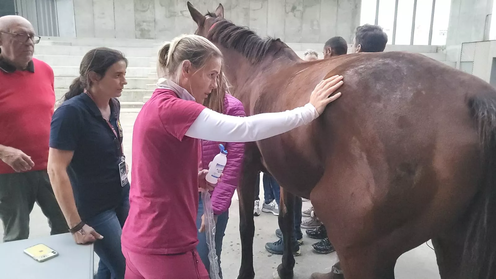 Jaque-Mate, curso de Humeco para veterinarios impartido por el doctor Jaramillo