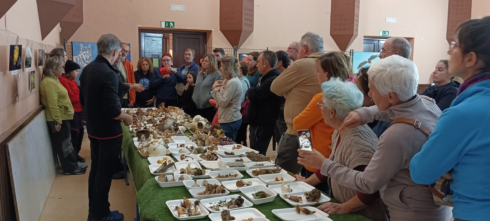 Jornadas Micológicas en San Juan del Flumen