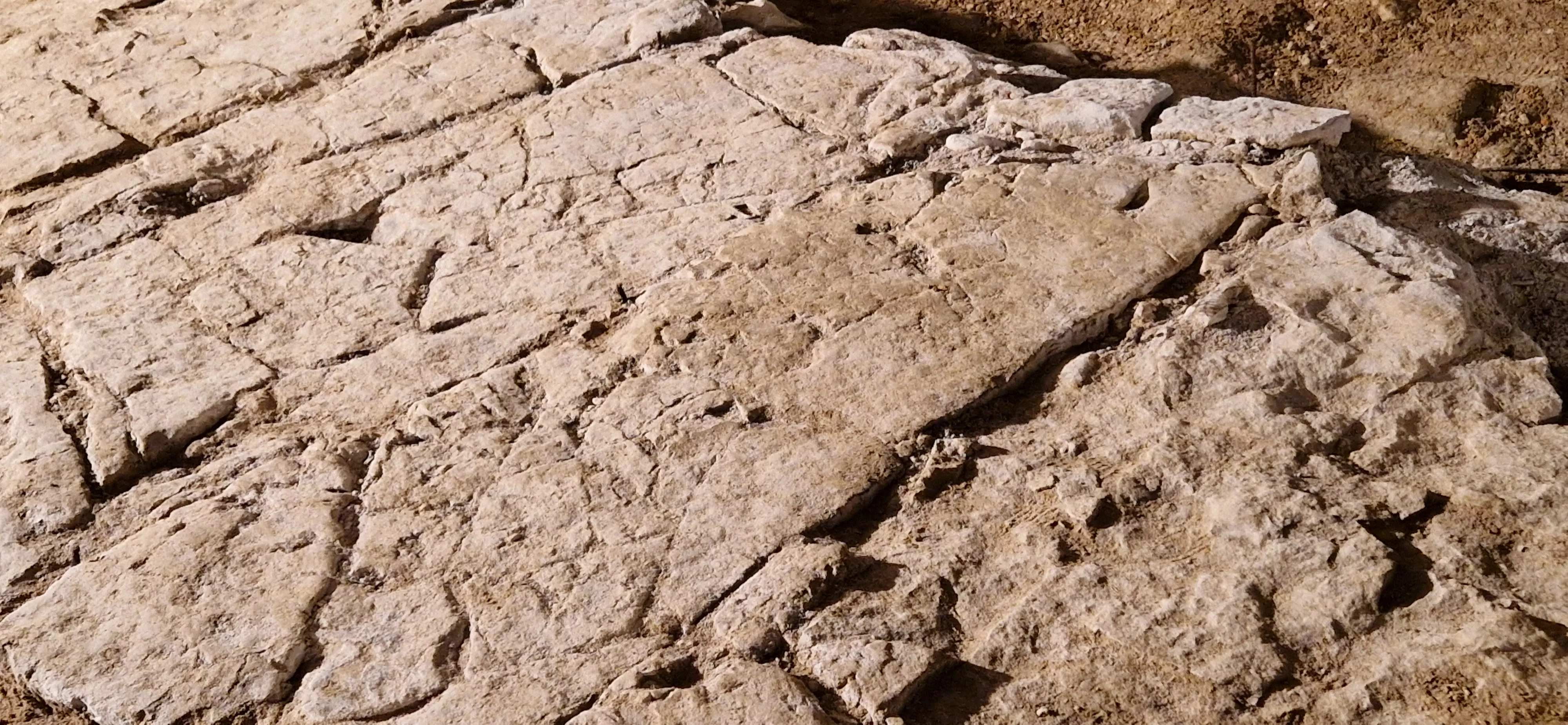 Círculo Católico de Huesca. Foto Myriam Martínez 