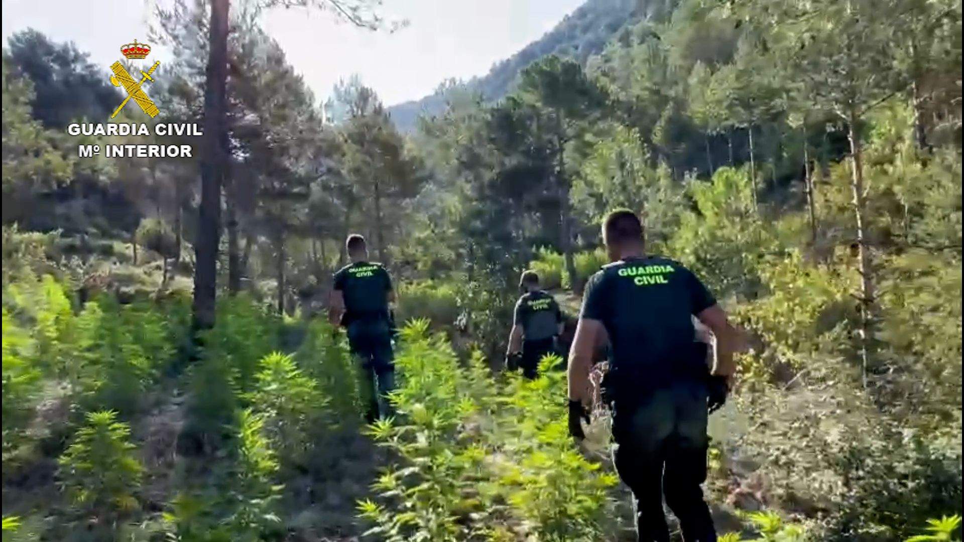 Un trabajo de la Guardia Civil impresionante