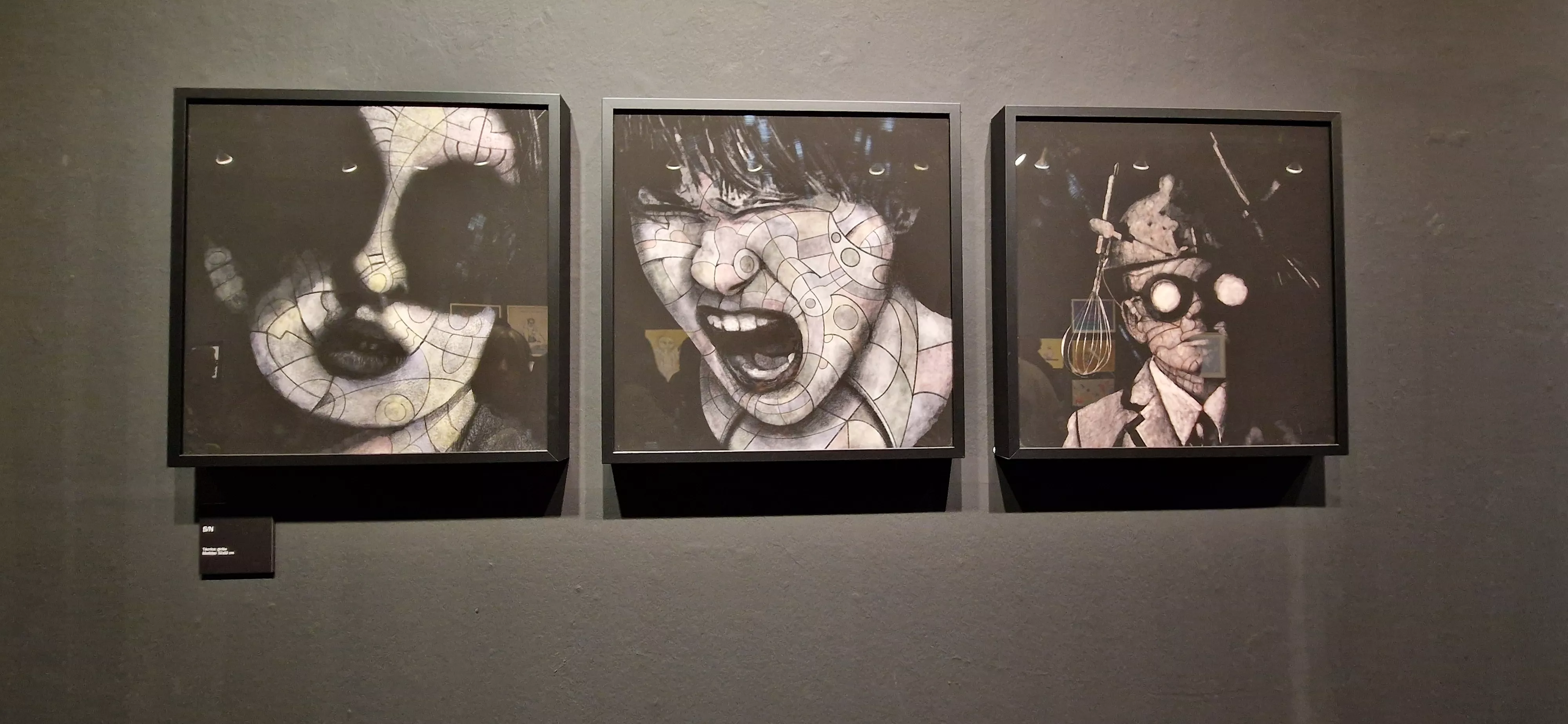 Exposición de Lucio Gat en el Centro Cultural Manuel Benito. Foto Myriam Martínez 