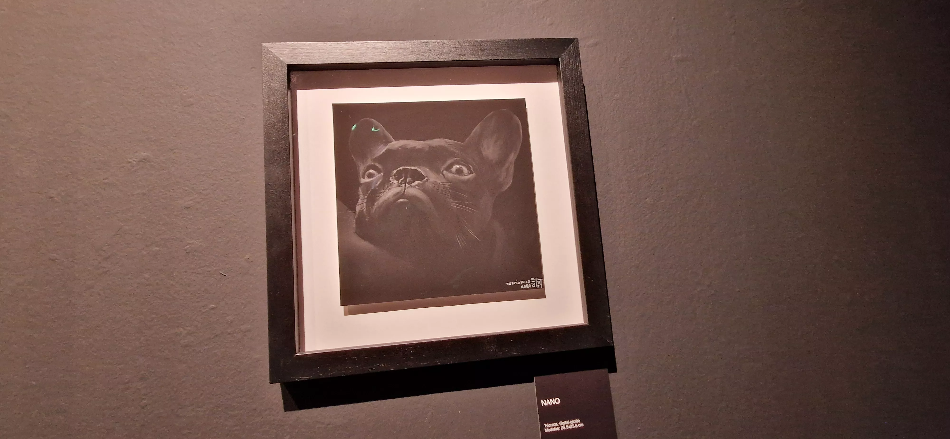 Exposición de Lucio Gat en el Centro Cultural Manuel Benito. Foto Myriam Martínez 