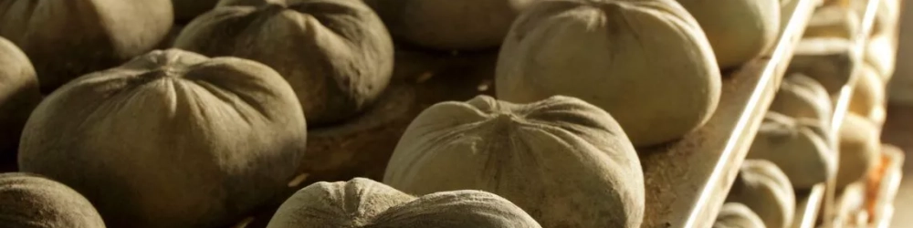 WhatsApp Image 2024 10 11 at 10.38.12 WhatsApp Image 2024 10 11 at 10.38.12