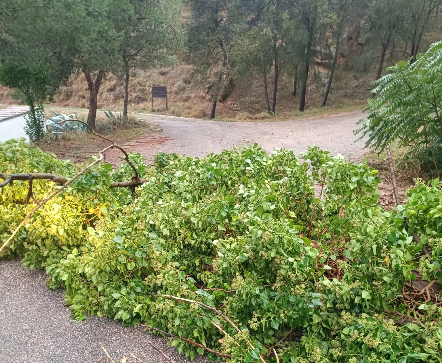 La intensa lluvia registra en Tamarite de Litera ha provocado inundaciones en la localidad.
