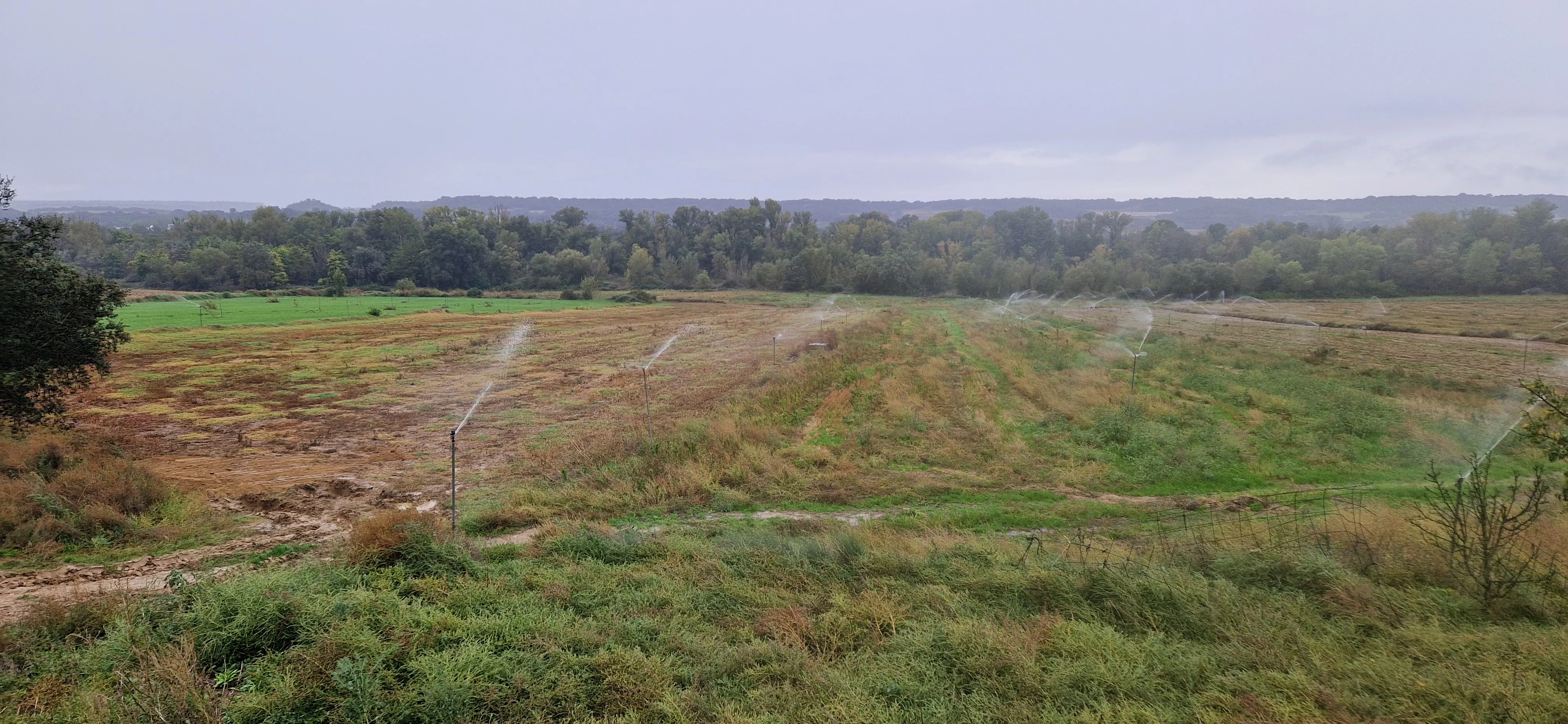 Lugar que ocupará la balsa más grande de Salillas para hacer las balsas. Foto Myriam Martínez