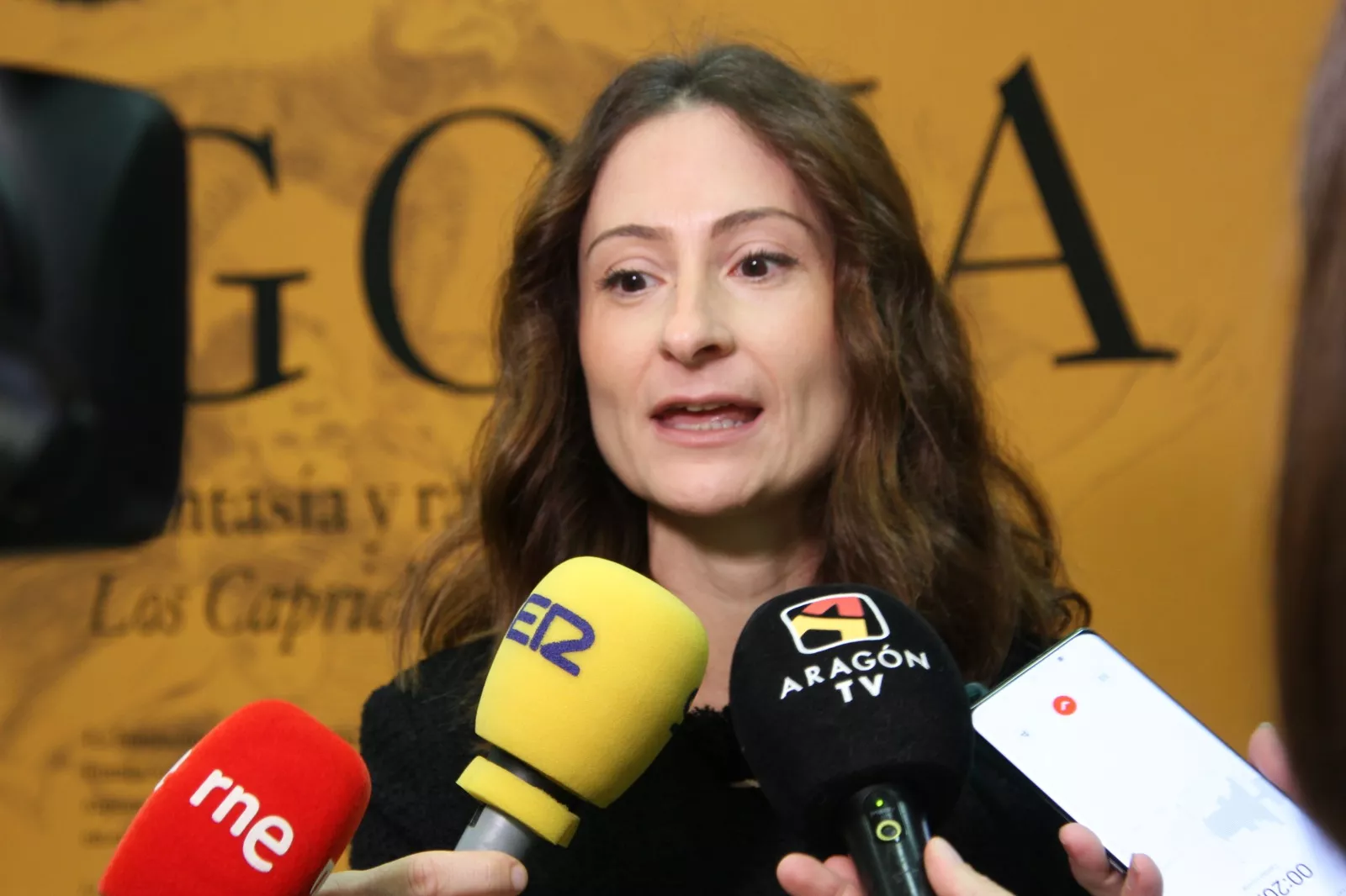 Aixa Álvarez. Exposición ‘Goya, fantasía y razón Los Caprichos’ en el Archivo Provincial de Huesca. Foto Carlos Neofato