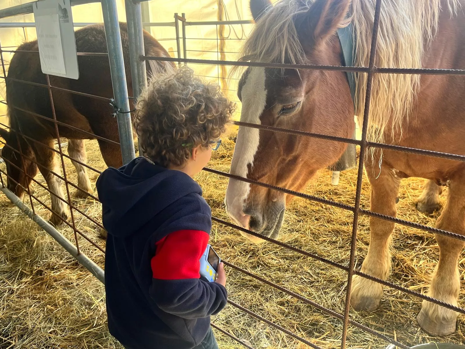 Inauguración de la Feria de Otoño de Biescas 2024