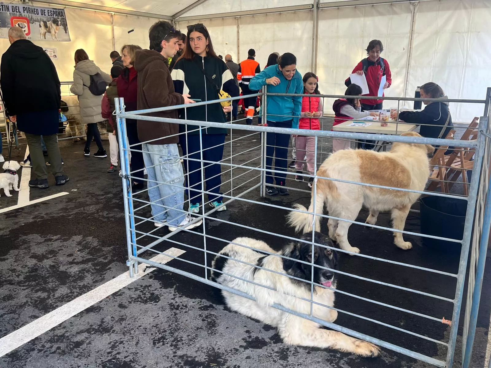 Inauguración de la Feria de Otoño de Biescas 2024