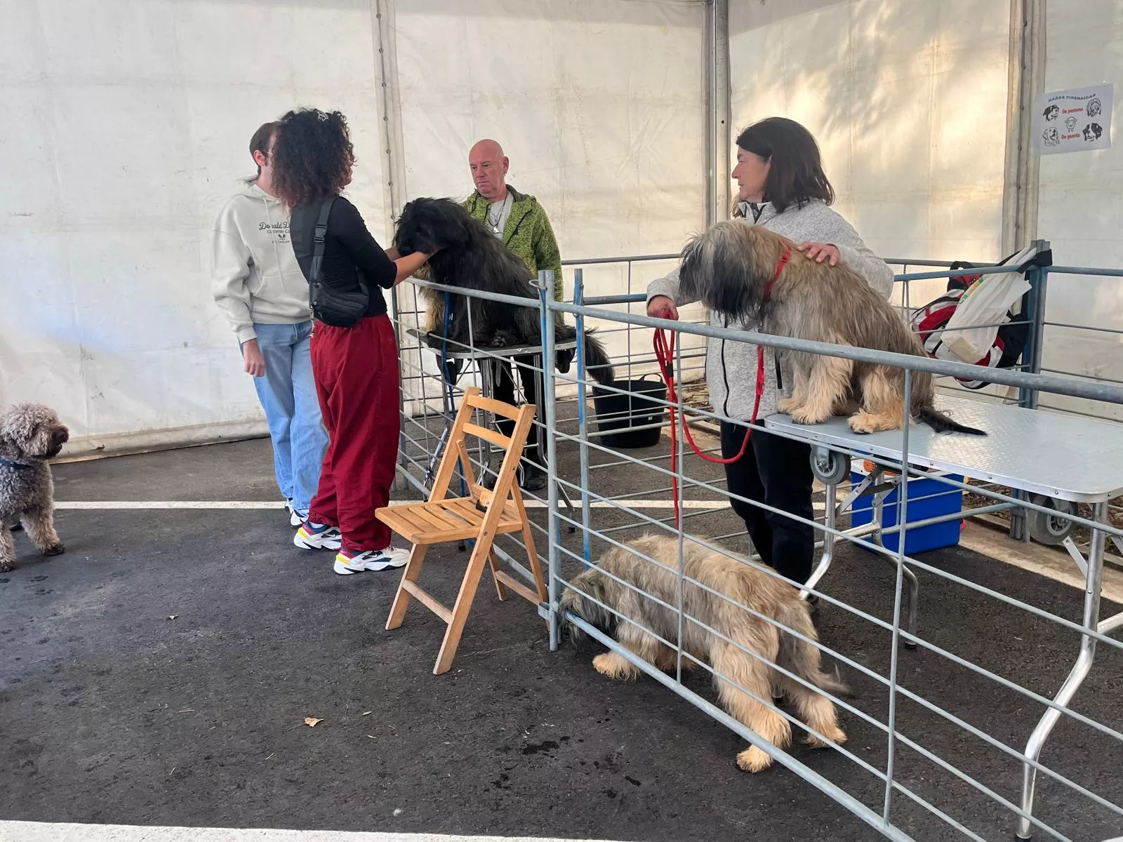 Inauguración de la Feria de Otoño de Biescas 2024