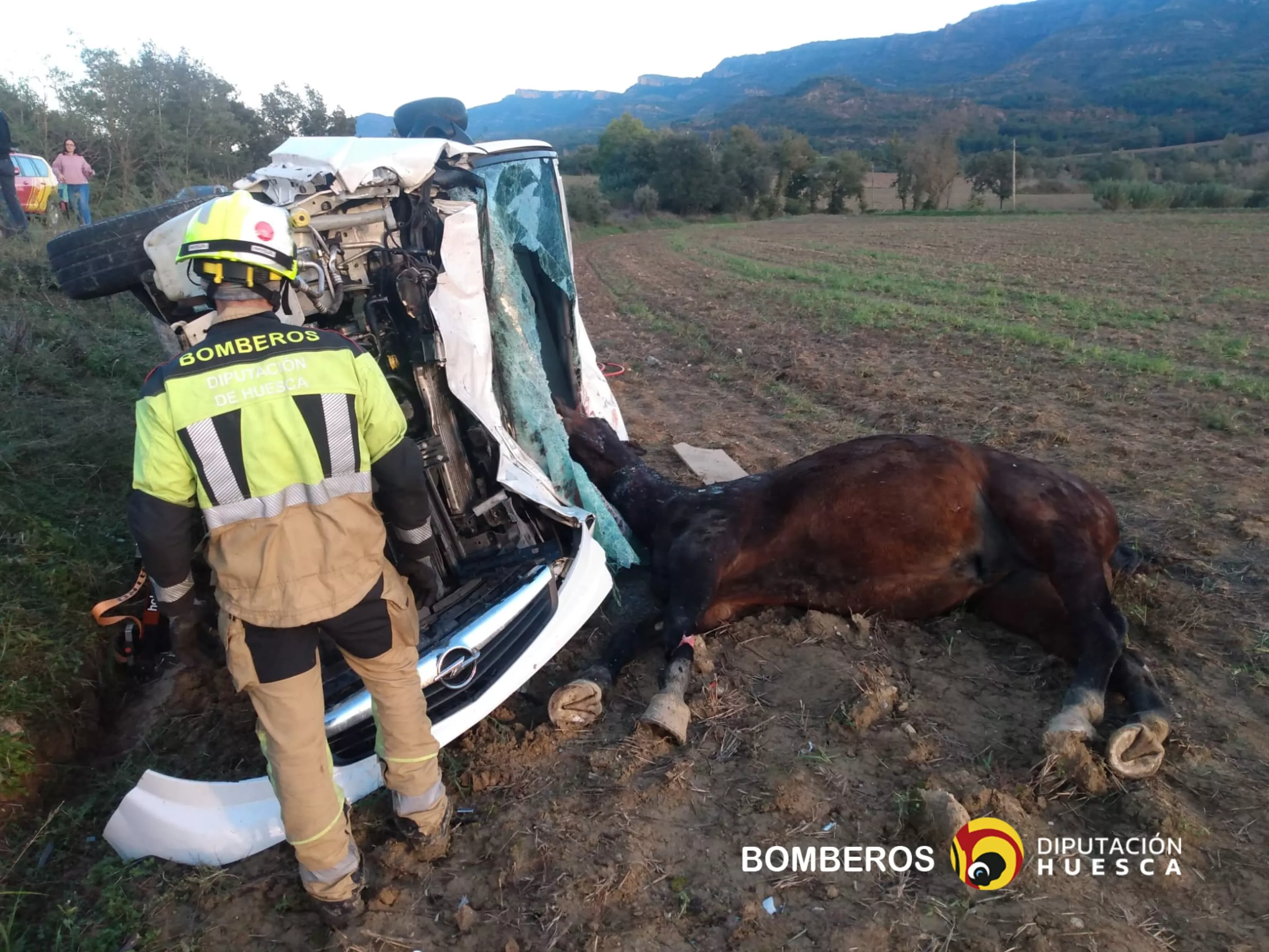 El caballo muerto en el accidente en Capella con el vehículo muy dañado