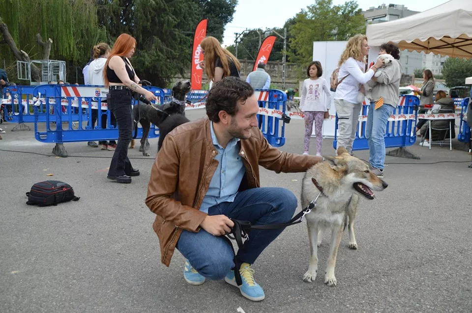 Concurso Nacional de Morfología Canina Ciudad de Monzón.
