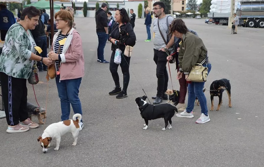Concurso Nacional de Morfología Canina Ciudad de Monzón.