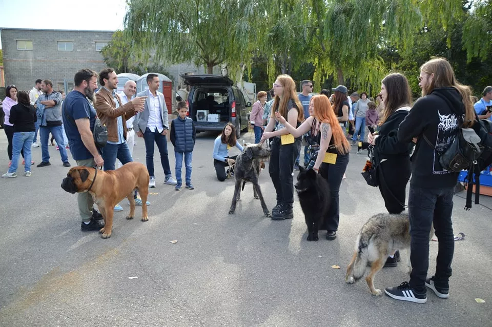 Concurso Nacional de Morfología Canina Ciudad de Monzón.