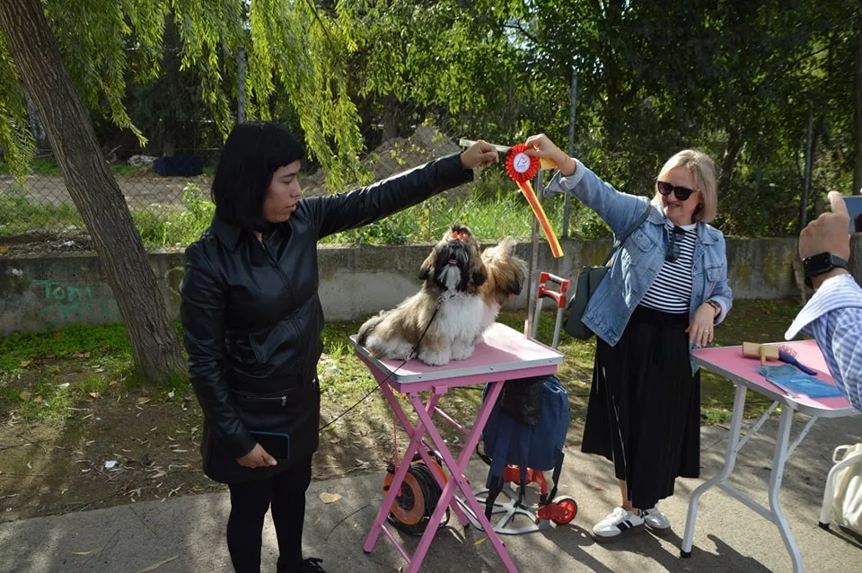 Concurso Nacional de Morfología Canina Ciudad de Monzón.