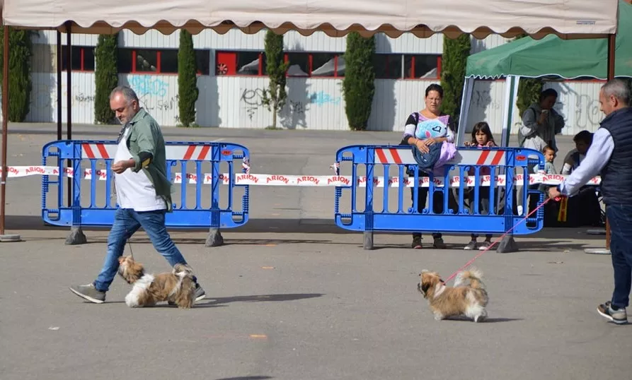 Concurso Nacional de Morfología Canina Ciudad de Monzón.