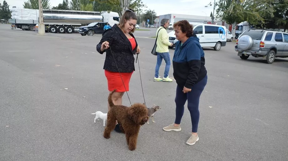 Concurso Nacional de Morfología Canina Ciudad de Monzón.