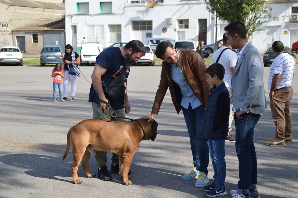 Concurso Nacional de Morfología Canina Ciudad de Monzón.