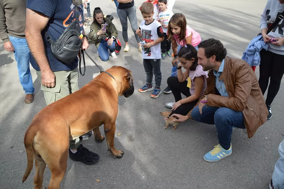 Concurso Nacional de Morfología Canina Ciudad de Monzón.