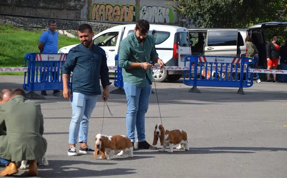 Concurso Nacional de Morfología Canina Ciudad de Monzón.