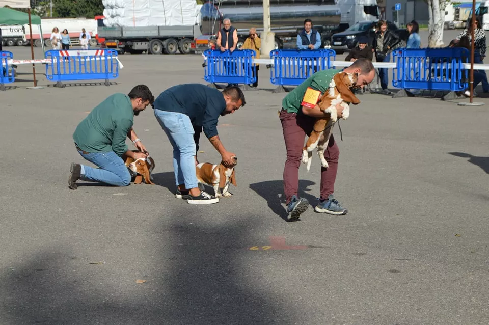 Concurso Nacional de Morfología Canina Ciudad de Monzón.