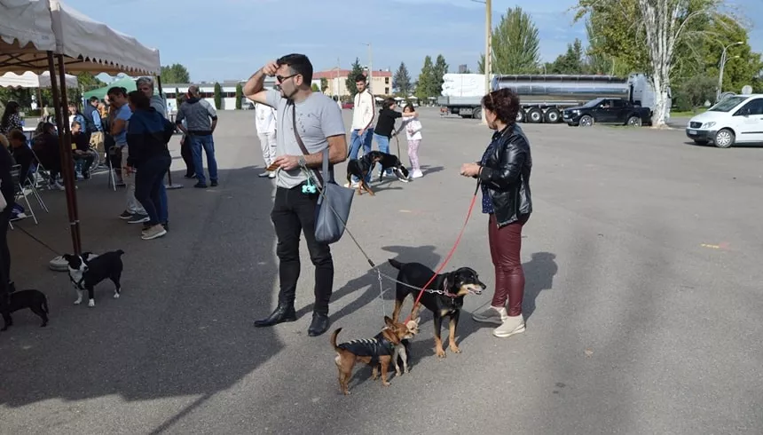 Concurso Nacional de Morfología Canina Ciudad de Monzón.