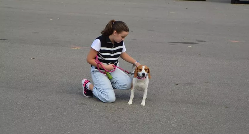 Concurso Nacional de Morfología Canina Ciudad de Monzón.