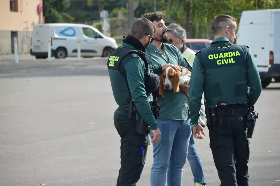 Concurso Nacional de Morfología Canina Ciudad de Monzón.