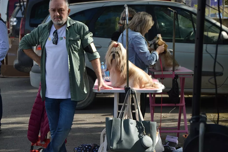Concurso Nacional de Morfología Canina Ciudad de Monzón.