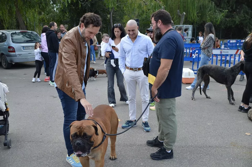 Concurso Nacional de Morfología Canina Ciudad de Monzón.