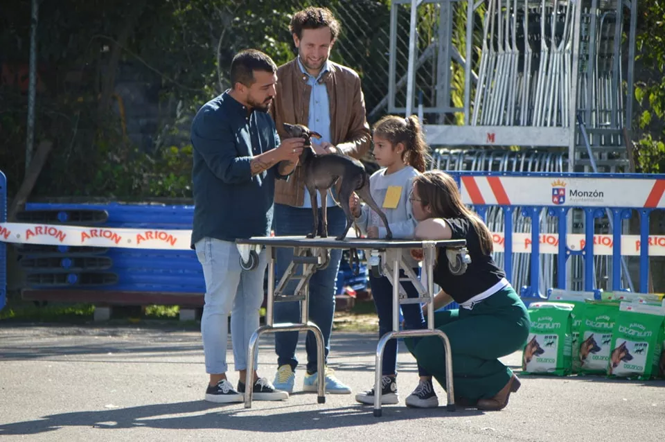 Concurso Nacional de Morfología Canina Ciudad de Monzón.