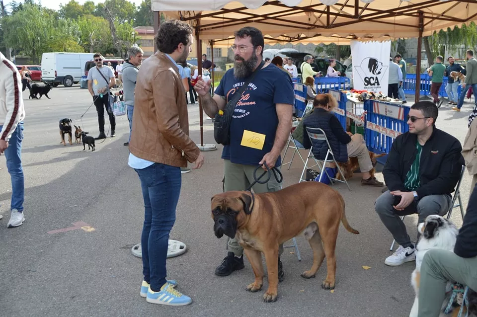 Concurso Nacional de Morfología Canina Ciudad de Monzón.