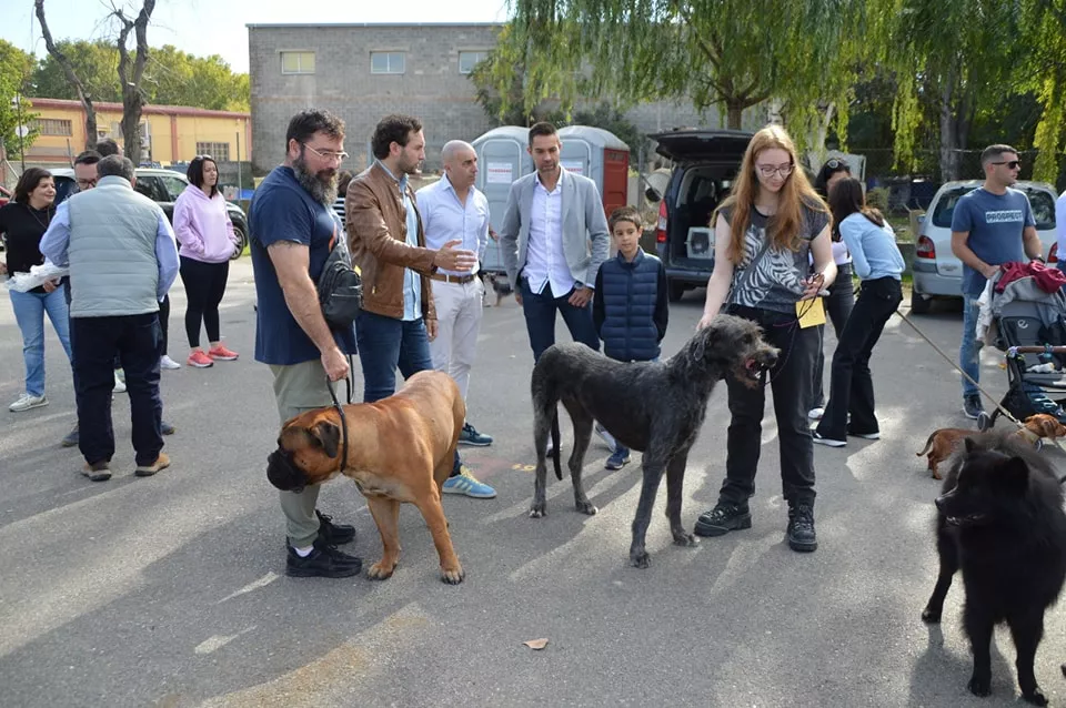 Concurso Nacional de Morfología Canina Ciudad de Monzón.