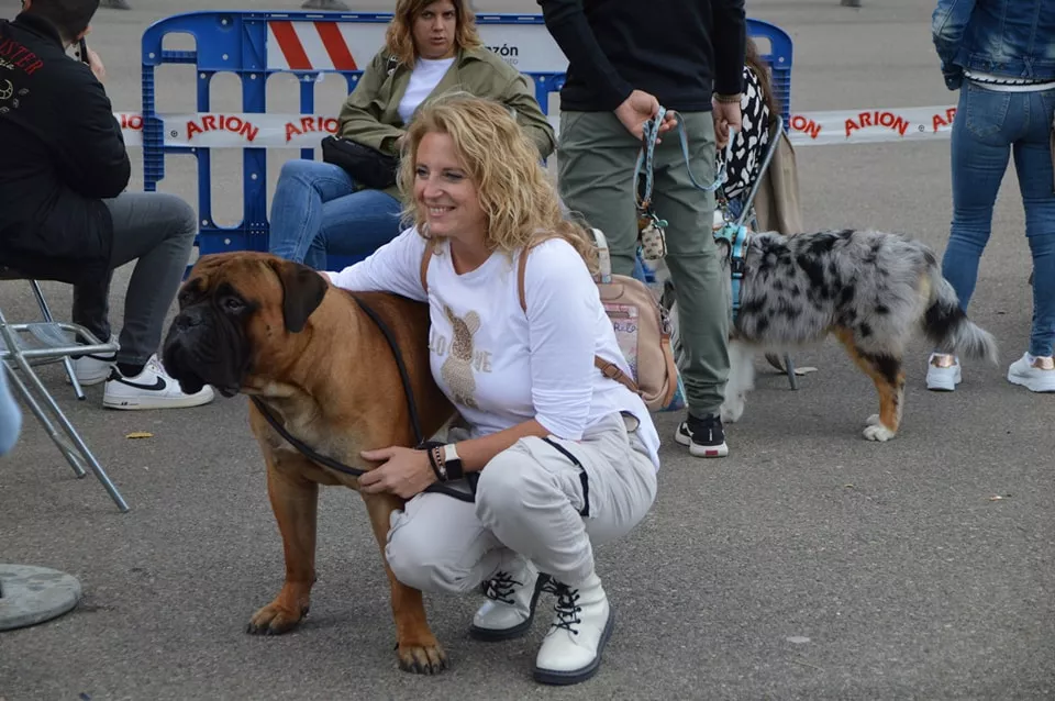 Concurso Nacional de Morfología Canina Ciudad de Monzón.