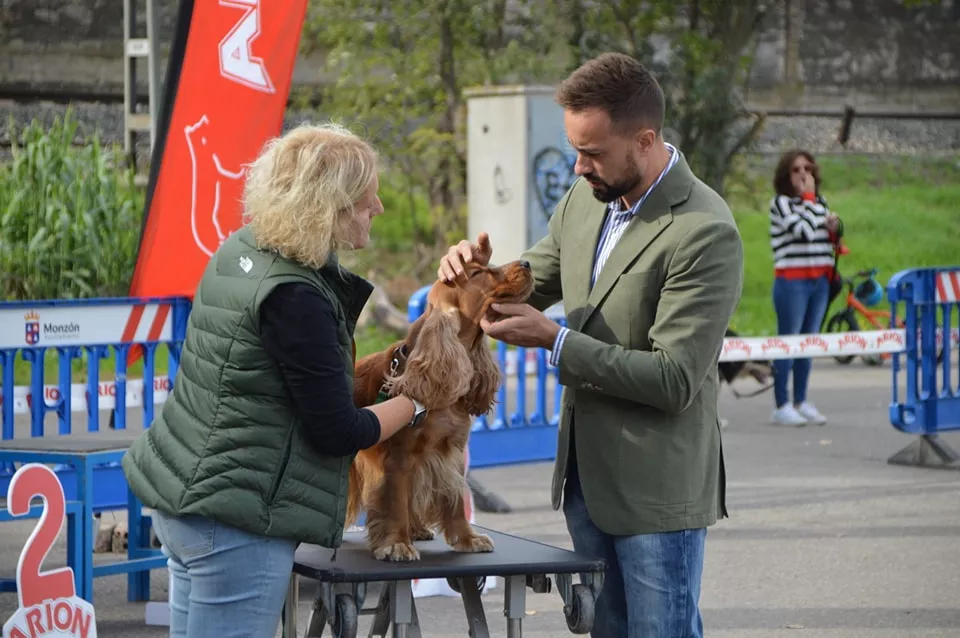 Concurso Nacional de Morfología Canina Ciudad de Monzón.