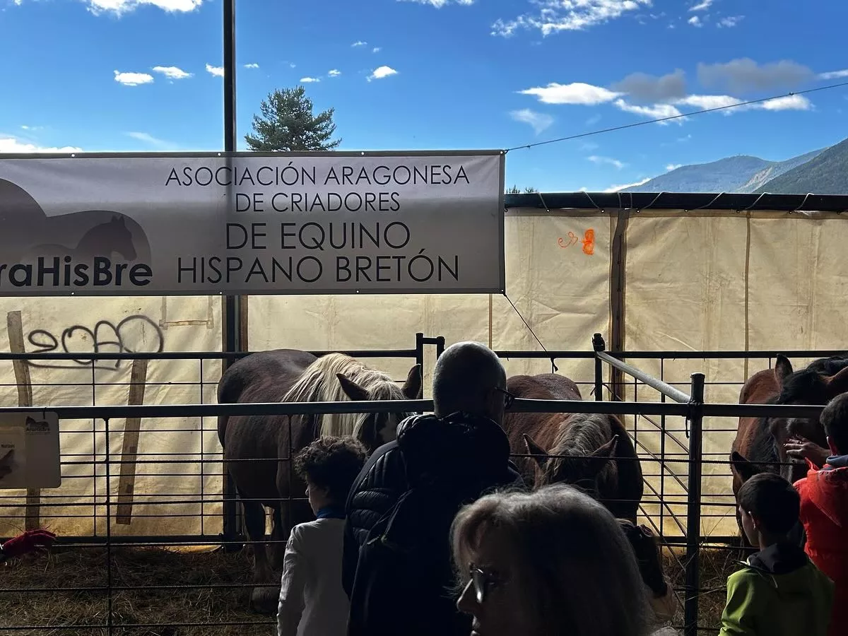 Segunda jornada de la Feria de Biescas