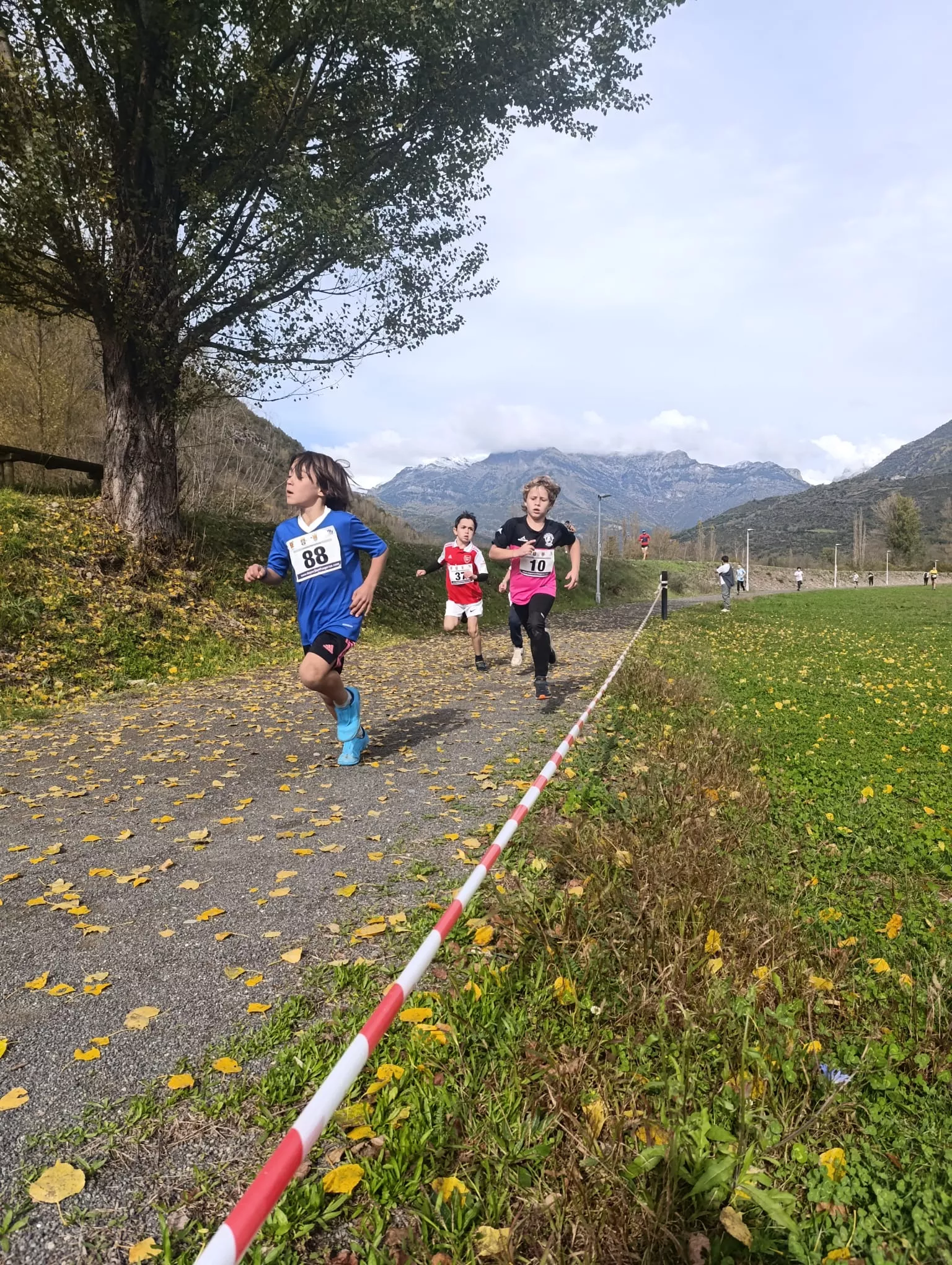 Cross de Castejón de Sos