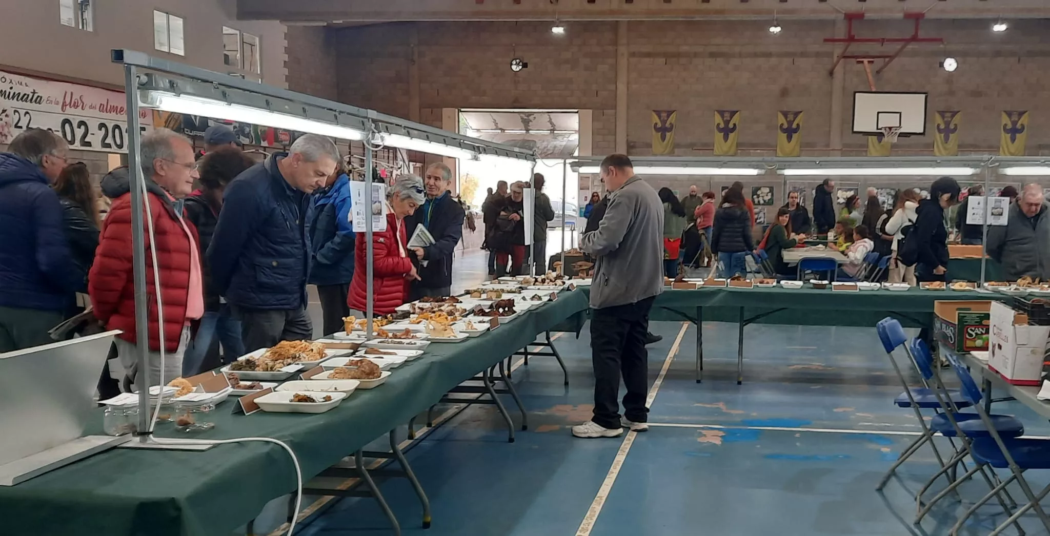 Actividad en las 33 Jornadas Micológicas de Ayerbe.