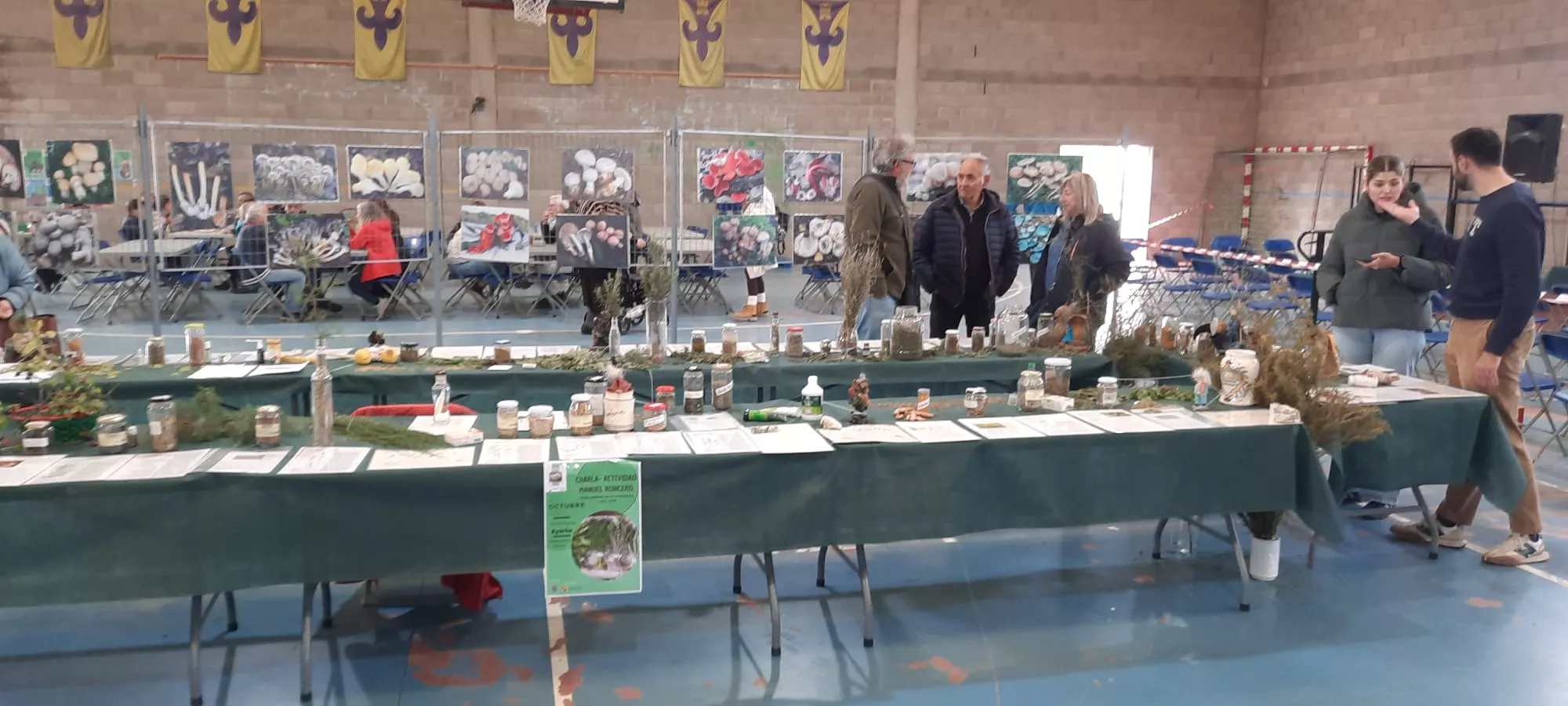 Actividad en las 33 Jornadas Micológicas de Ayerbe.