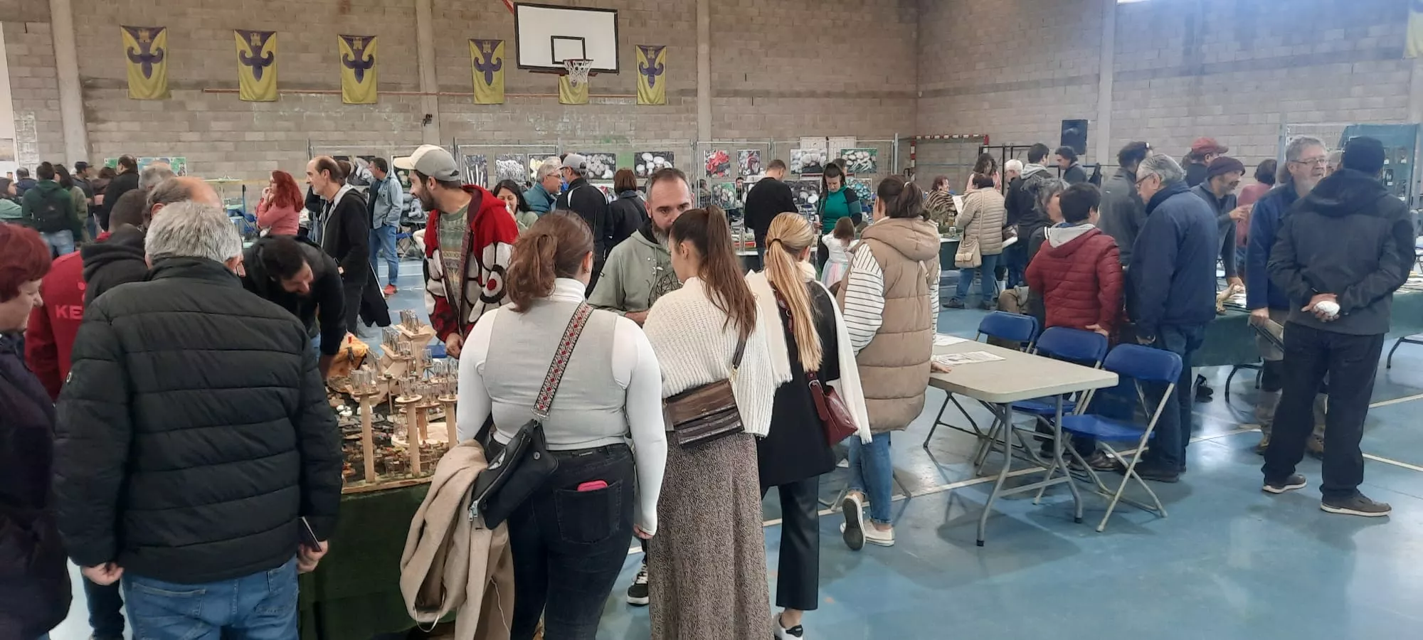 Actividad en las 33 Jornadas Micológicas de Ayerbe.