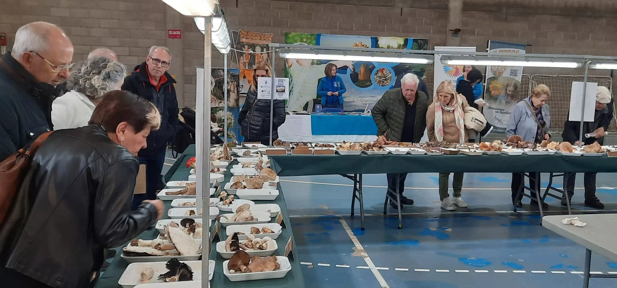 Actividad en las 33 Jornadas Micológicas de Ayerbe.