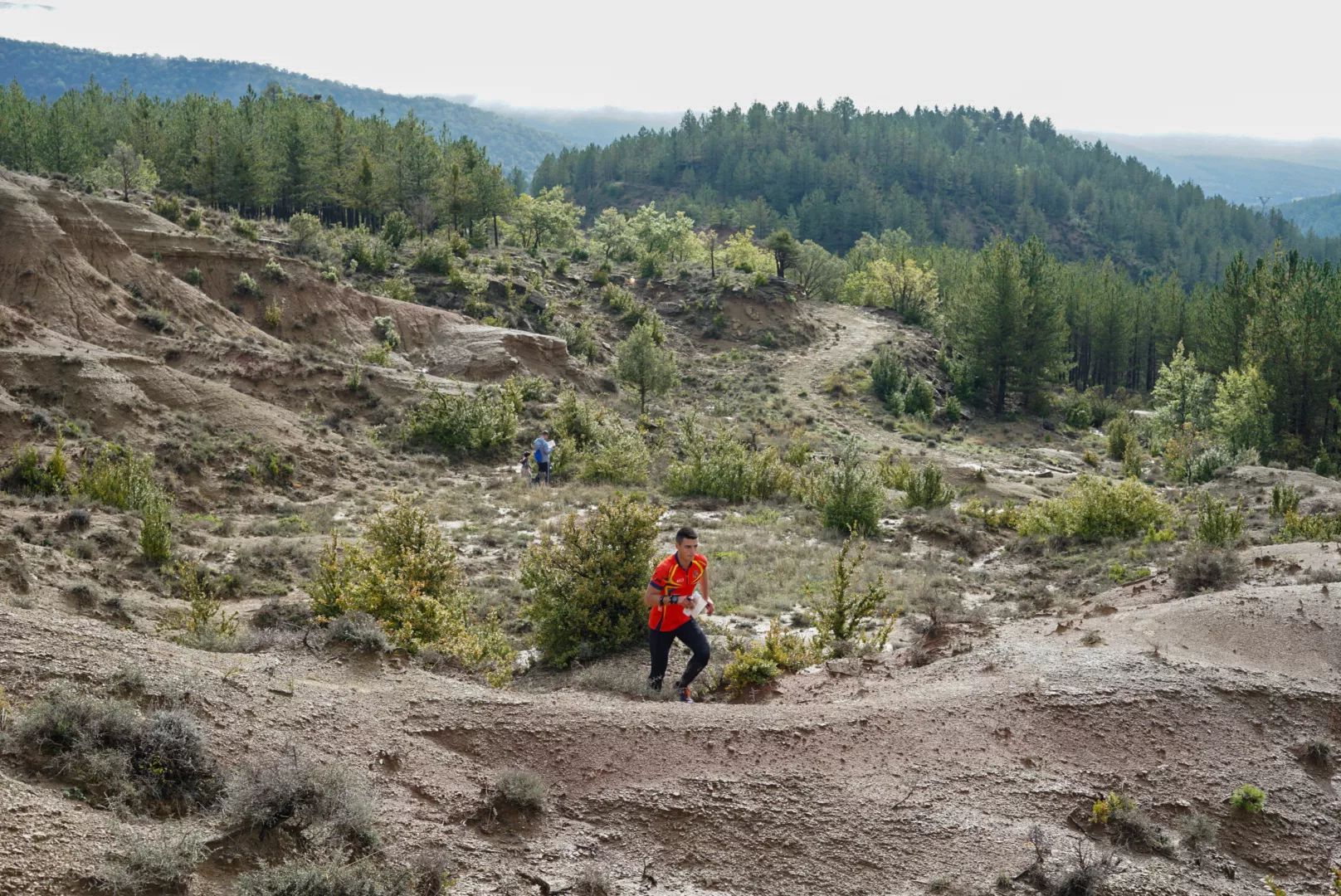 Imagen de la competición.