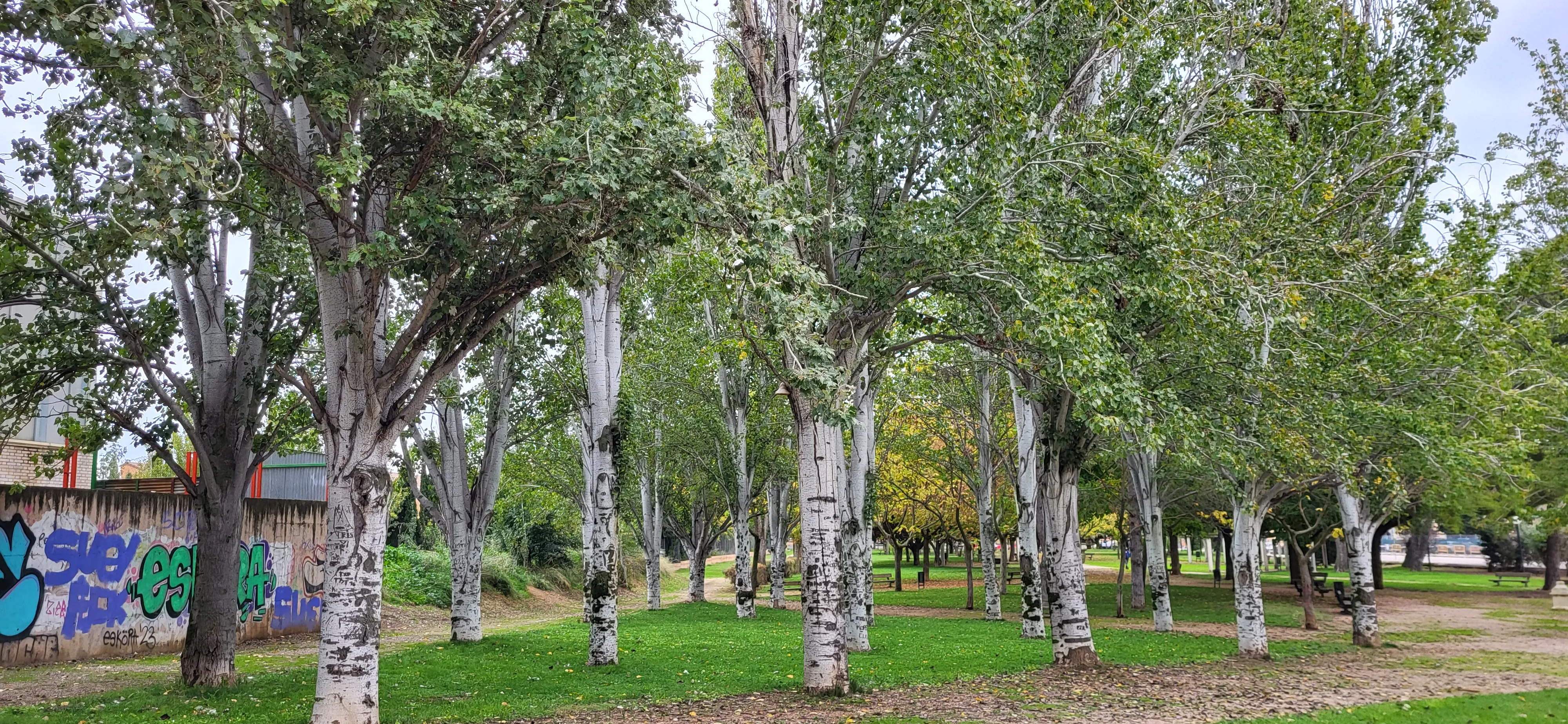 Encuentro de coros para relanzar el parque Joaquín Roig de Huesca. Foto Mercedes Manterola