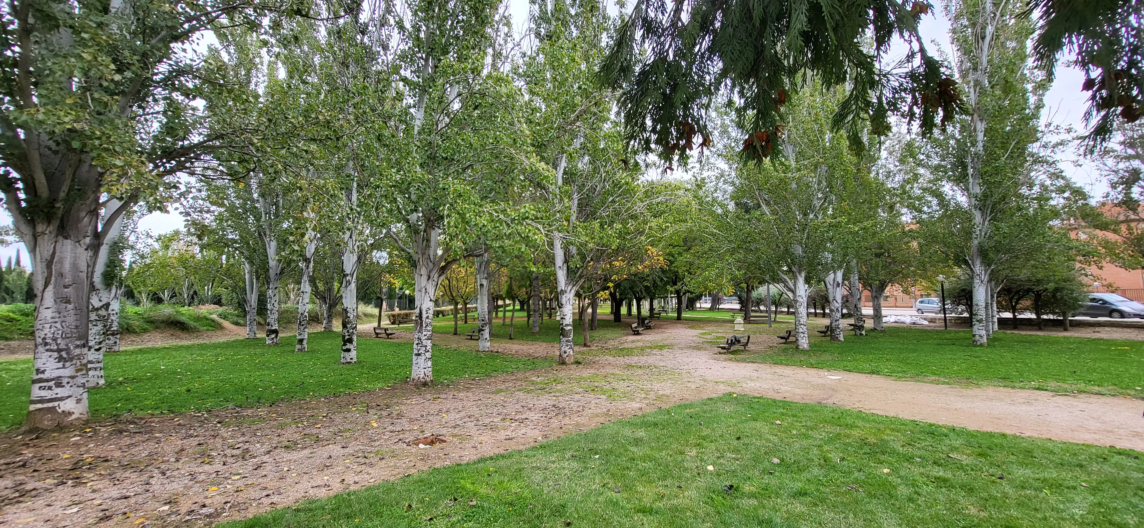 Encuentro de coros para relanzar el parque Joaquín Roig de Huesca. Foto Mercedes Manterola
