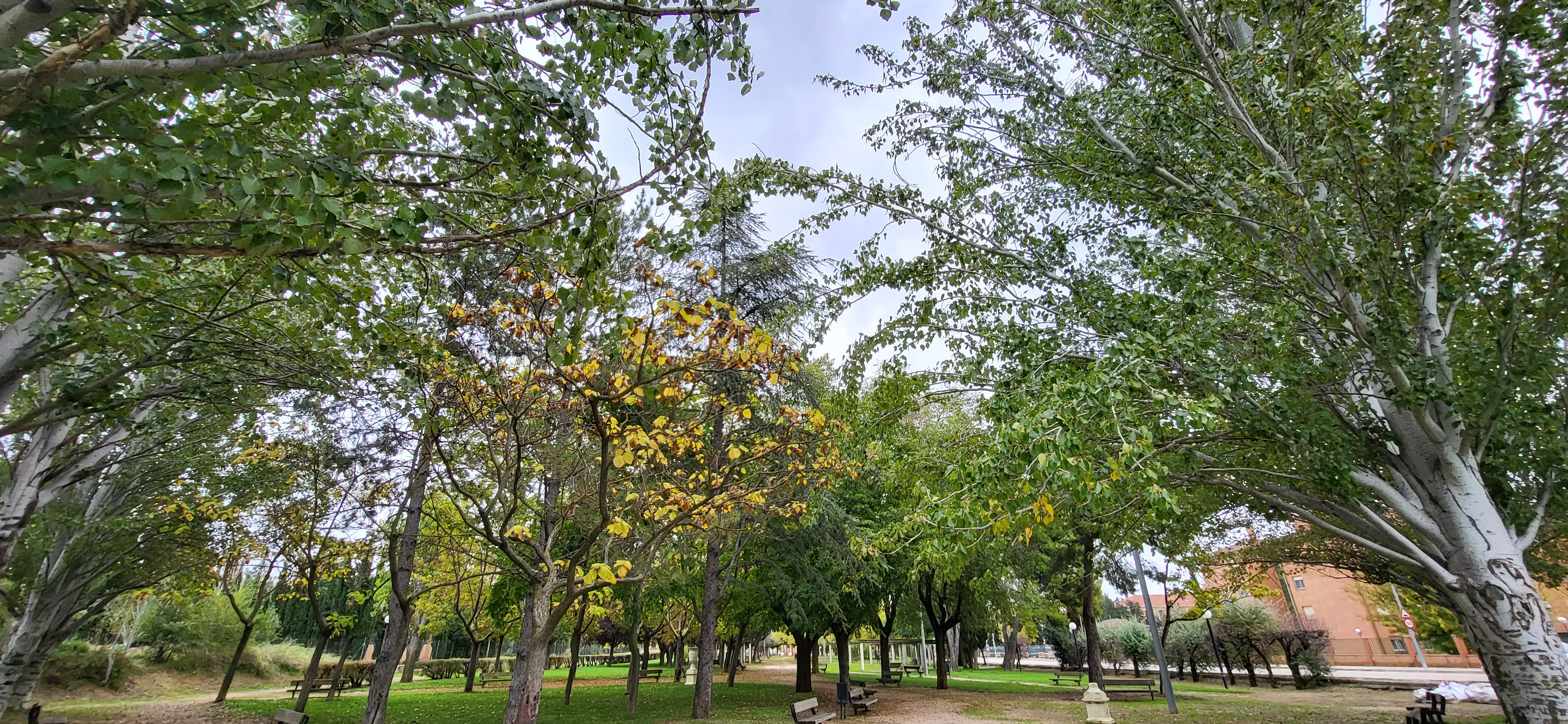 Encuentro de coros para relanzar el parque Joaquín Roig de Huesca. Foto Mercedes Manterola