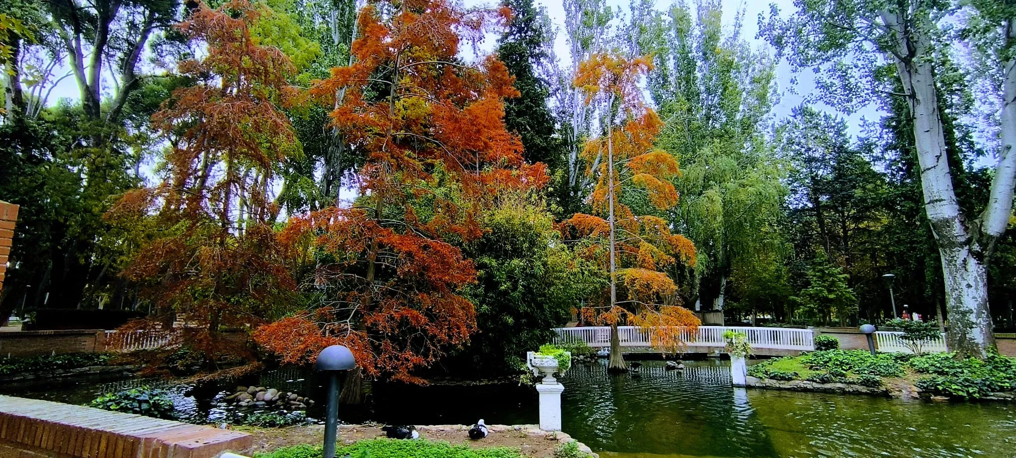 Imágenes otoñales del Parque Miguel Servet de Huesca. Foto Joaquín Santafé